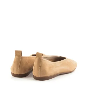 Bailarina basic nobuck arena | WONDERS Sale