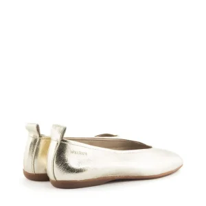 Bailarina basic piel metalizada platino | WONDERS Clearance