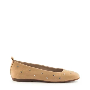 Bailarina basic tachas nobuck arena | WONDERS Discount