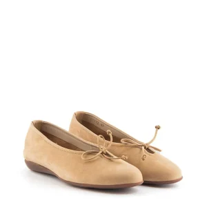 Bailarina cordón nobuck arena | WONDERS Clearance