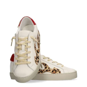 Deportivo animal print | GAMIN Online